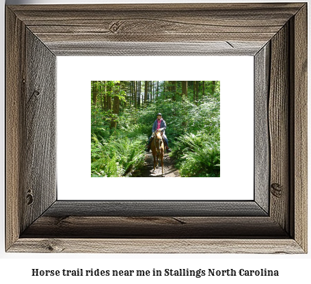 horse trail rides near me in Stallings, North Carolina